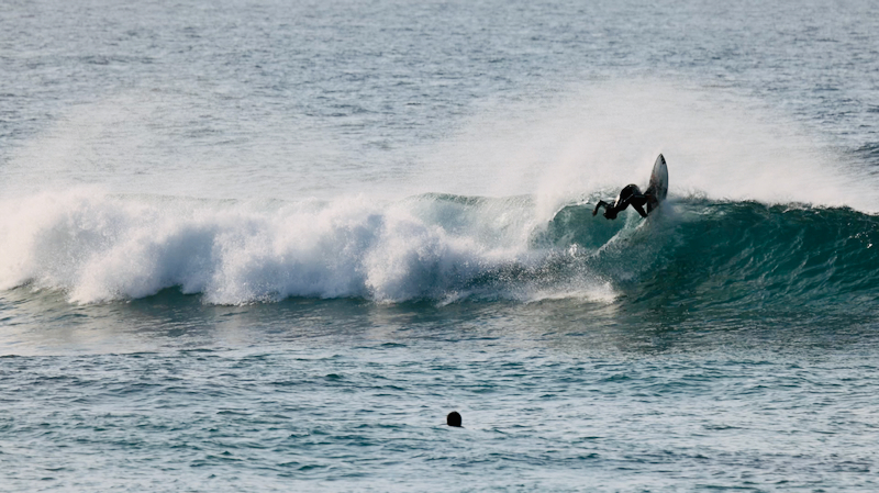 スクリーンショット 2025-05-18 3.56.32
