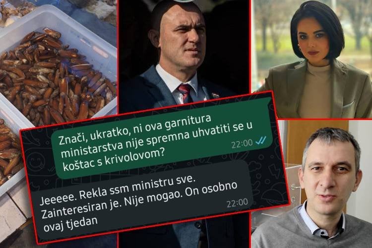 Adrial 2のProjolov。その部分 - 農業大臣の局、私たちはアドリア海の刑事八視に関する多くの証拠を提出しました - 彼らは将来私たちに嘘をつきました。