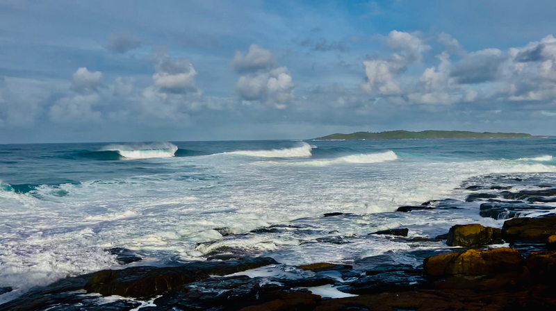 スクリーンショット 2025-05-22 10.14.04