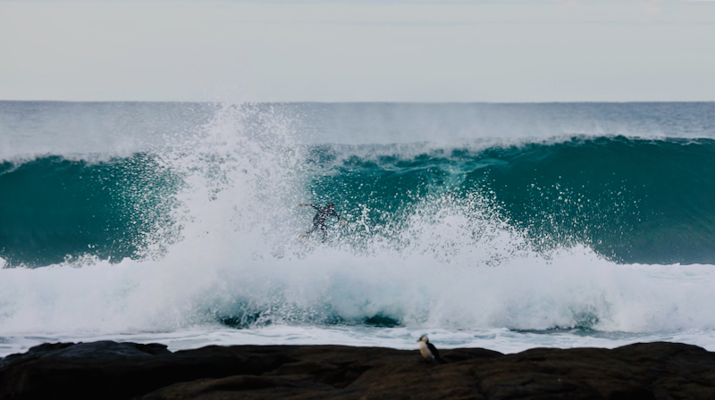 スクリーンショット 2025-05-28 3.26.20