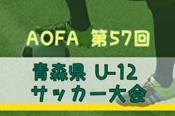 2025年度 AOFA第57回青森県U-12サッカー大会 組合せ掲載！6/7,8,14開催！ | Green Card ニュース