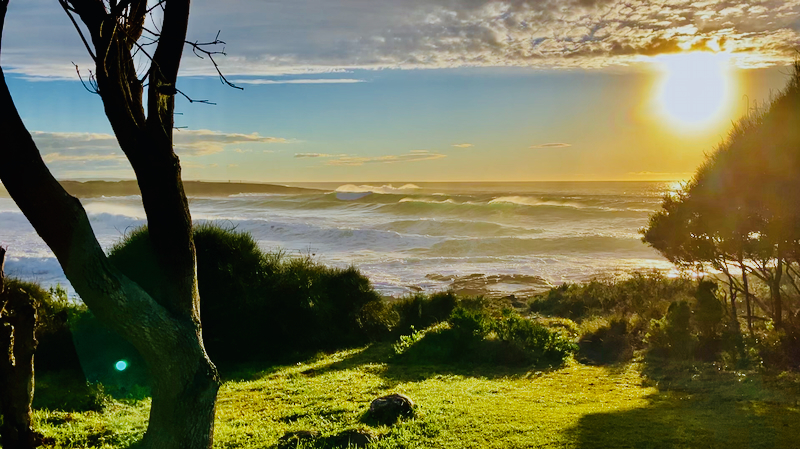 スクリーンショット 2025-05-25 1.52.55