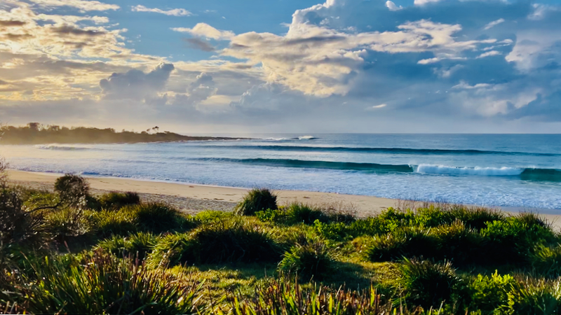 スクリーンショット 2025-05-14 3.24.02