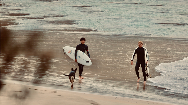 スクリーンショット 2025-05-23 3.32.55