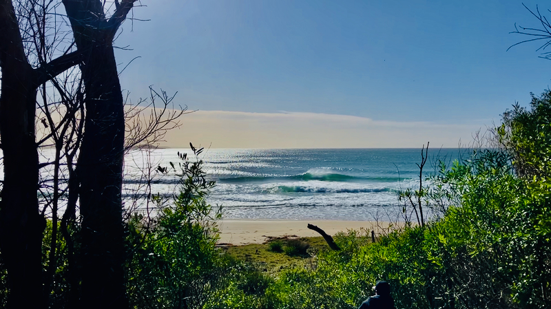 スクリーンショット 2025-05-28 6.36.56