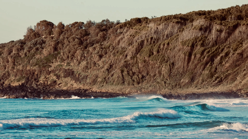 スクリーンショット 2025-05-11 4.33.54