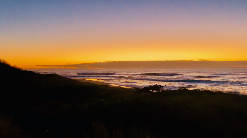 スクリーンショット 2025-05-11 4.14.33