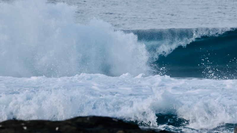 スクリーンショット 2025-05-14 3.50.28