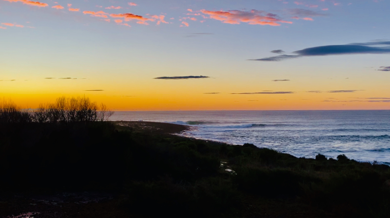 スクリーンショット 2025-05-25 1.48.43