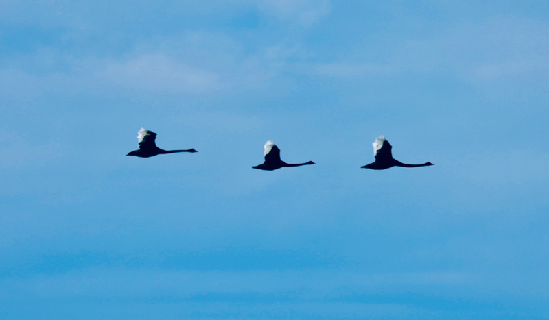 スクリーンショット 2025-05-13 4.56.01