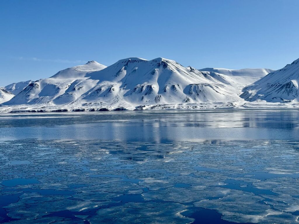 svalbard 🐻‍❄️🦊