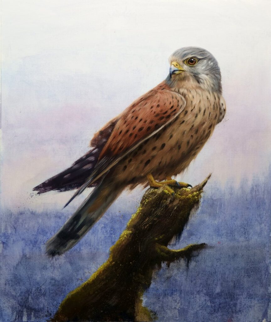 金曜日の絵画は、素敵な羽毛でタワーファルコンを描くことに挑戦しました。みなさん、素敵な週末をお祈りします！