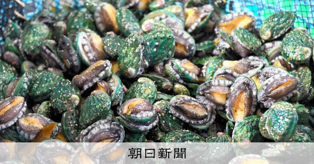 処理水放出で打撃の岩手産アワビ、輸出再開へ　生産者歓迎も残る課題 [岩手県]：朝日新聞