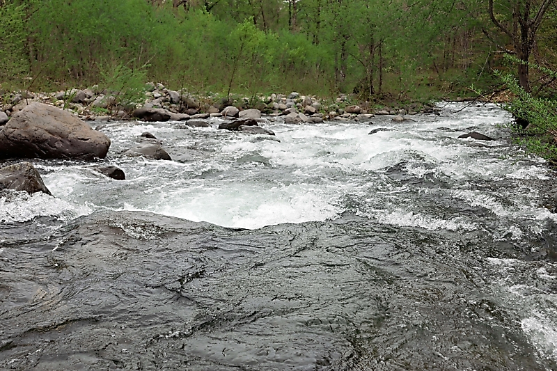 コゴミを採って引き返そうと…山ノ内町の雑魚川で流された2人死亡 現場に行くと水量が多く - 信濃毎日新聞デジタル