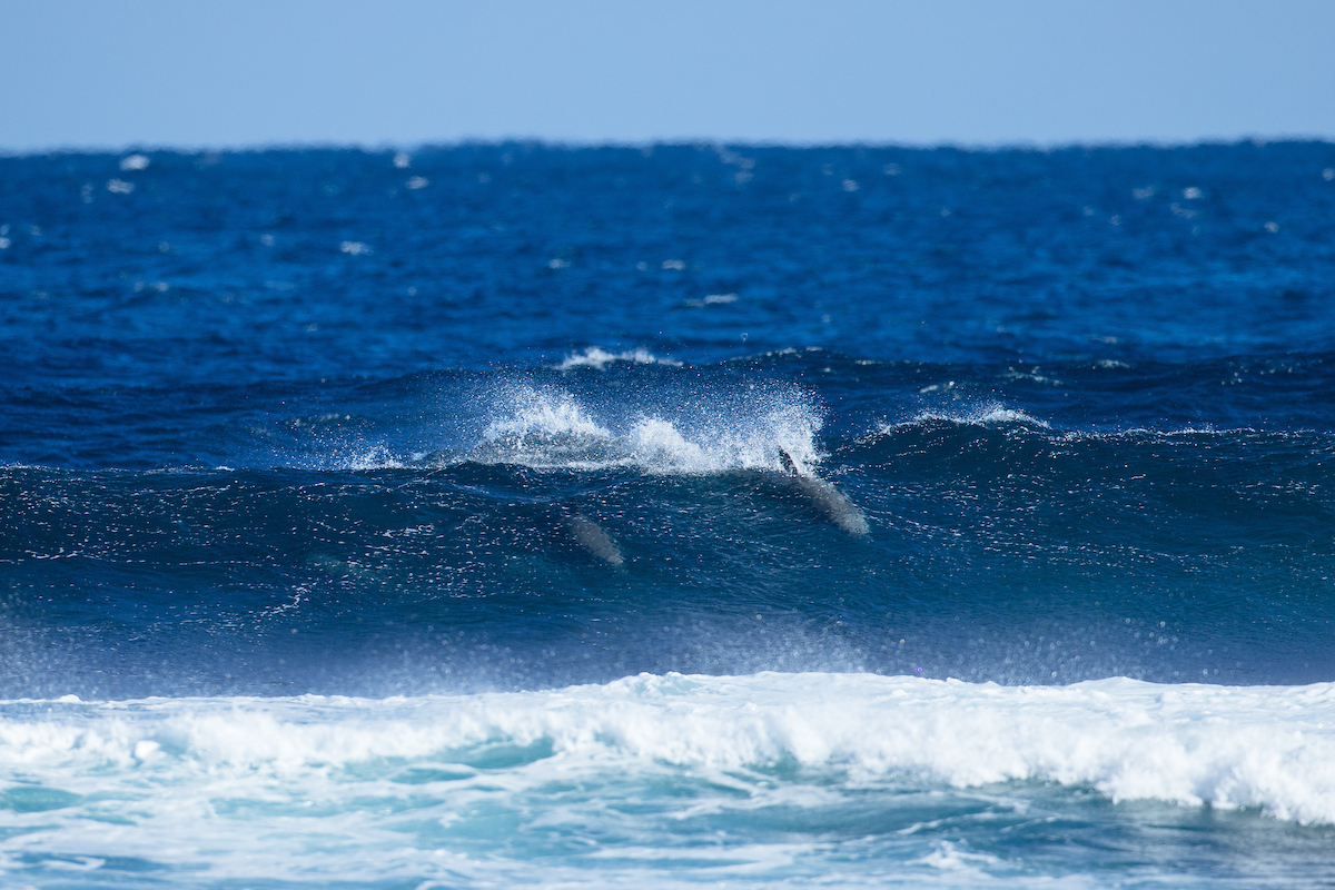 Western Australia Margaret River Pro