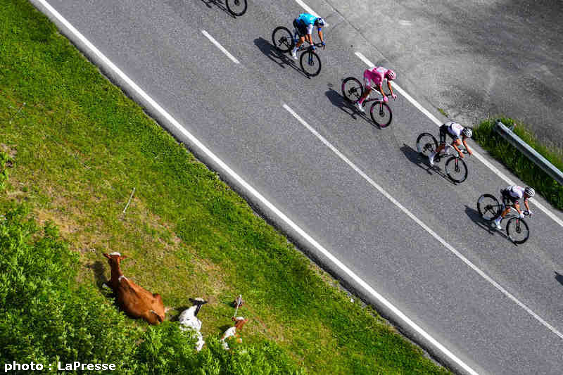 GIRO2025