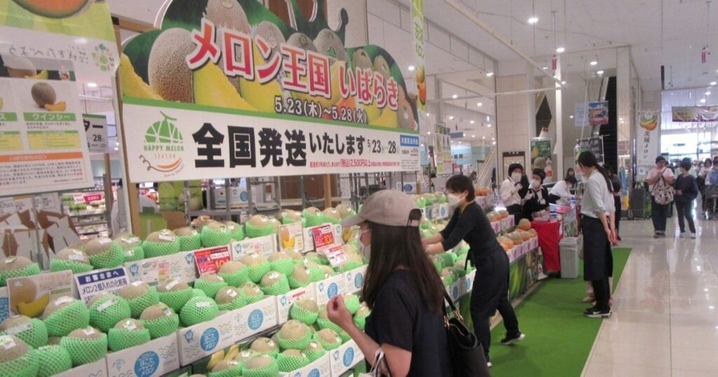 茨城のメロン、シーズン到来 県や鉾田市でイベント
