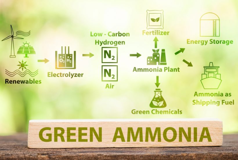 【ドイツ】BASF、再生可能アンモニアの量産開始。中欧初。今後も需要増を予測 1