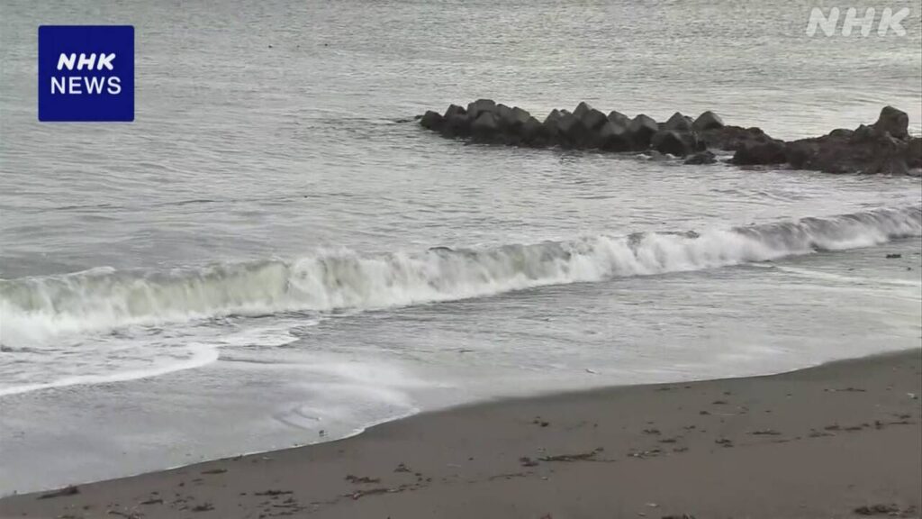 北海道 浜中町の海岸 死んだラッコから鳥インフル検出 国内初 - nhk.or.jp