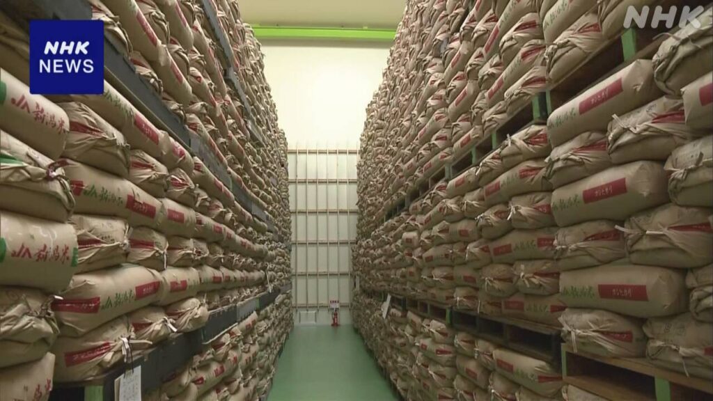 備蓄米放出もコメ価格高騰続く 江藤農相“流通に改善の余地” | NHK - nhk.or.jp