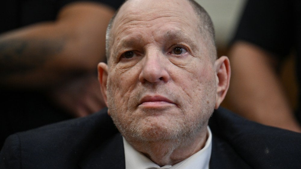 Harvey Weinstein Accuser Miriam Haleyは、反対尋問中に彼を「f- asshole」と呼んでいます