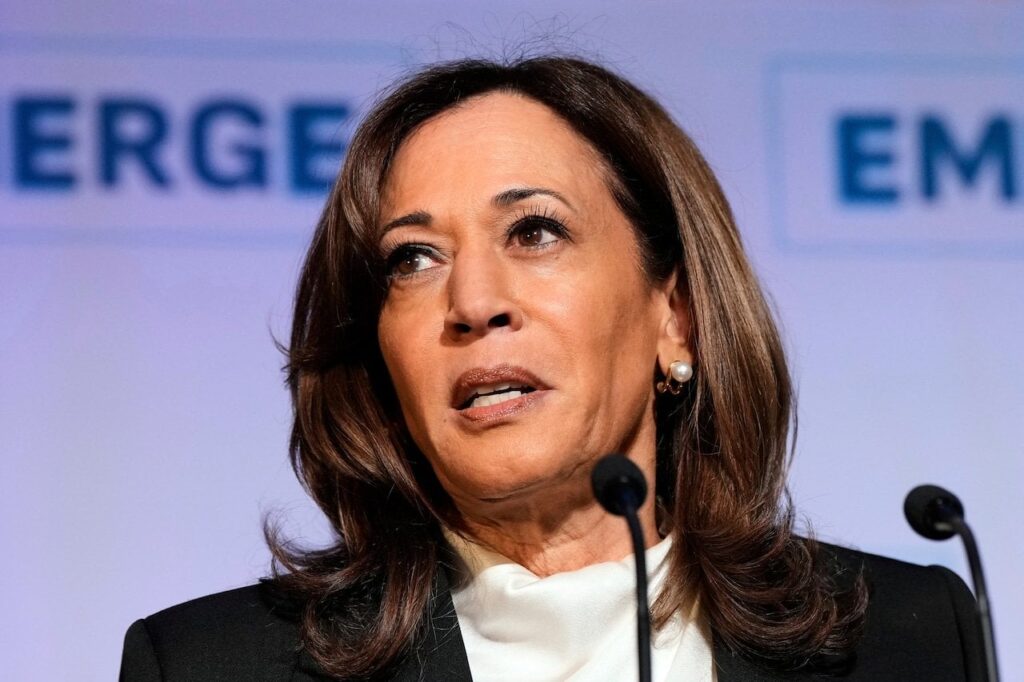 新しい世論調査は、2028年にDemsが誰が望んでいるかを示しています - そしてそれはKamala Harrisではありません