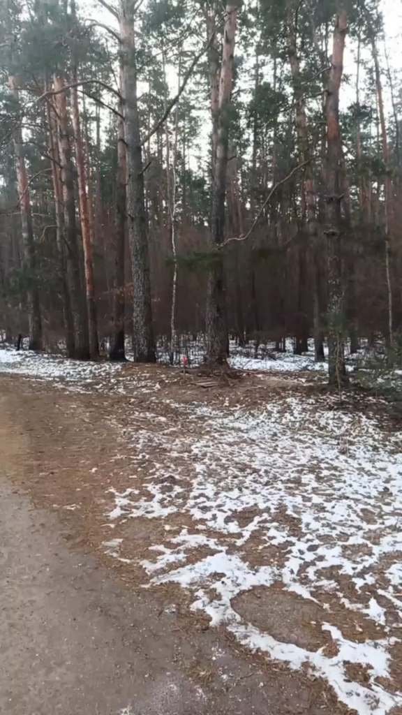 国境地域でサービスを提供するロシアの徴兵は、爆発するまで地面に沿って対戦車鉱山を引きずり、2人を殺し、さらに2人を負傷させました