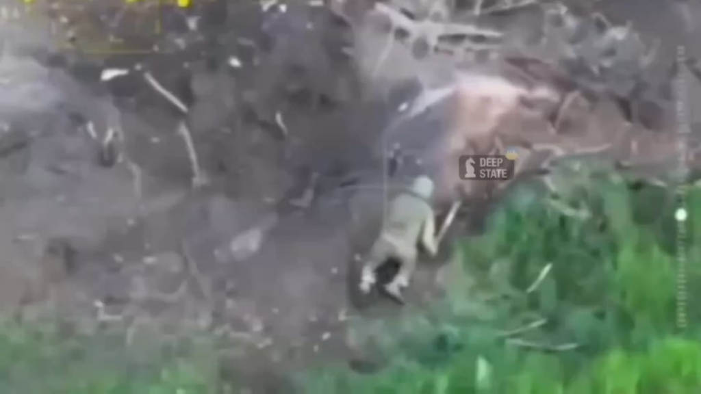 NSFW：ロシアの兵士は、スティックでそれを打つことで、不発式ウクライナのFPVドローンを和らげようとしました。ウクライナのドローンオペレーターによって観察されました。 2025年5月 [Published 27.05.2025]