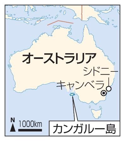 　オーストラリア・カンガルー島、キャンベラ、シドニー