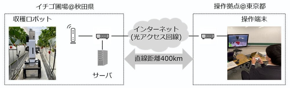 リモートでもイチゴを傷つけずに収穫！ NTTらが400km離れた農園で制御技術を実証 / エッジコンピューティングの品質制御による遠隔収穫ロボット操作に成功