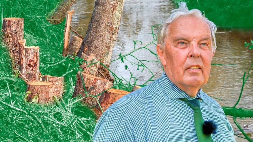 家主は、100人の違法な木の仲間の後ろに立つことを認めています（ヨハン・コード・ヨルゲンセンはAakærGods）