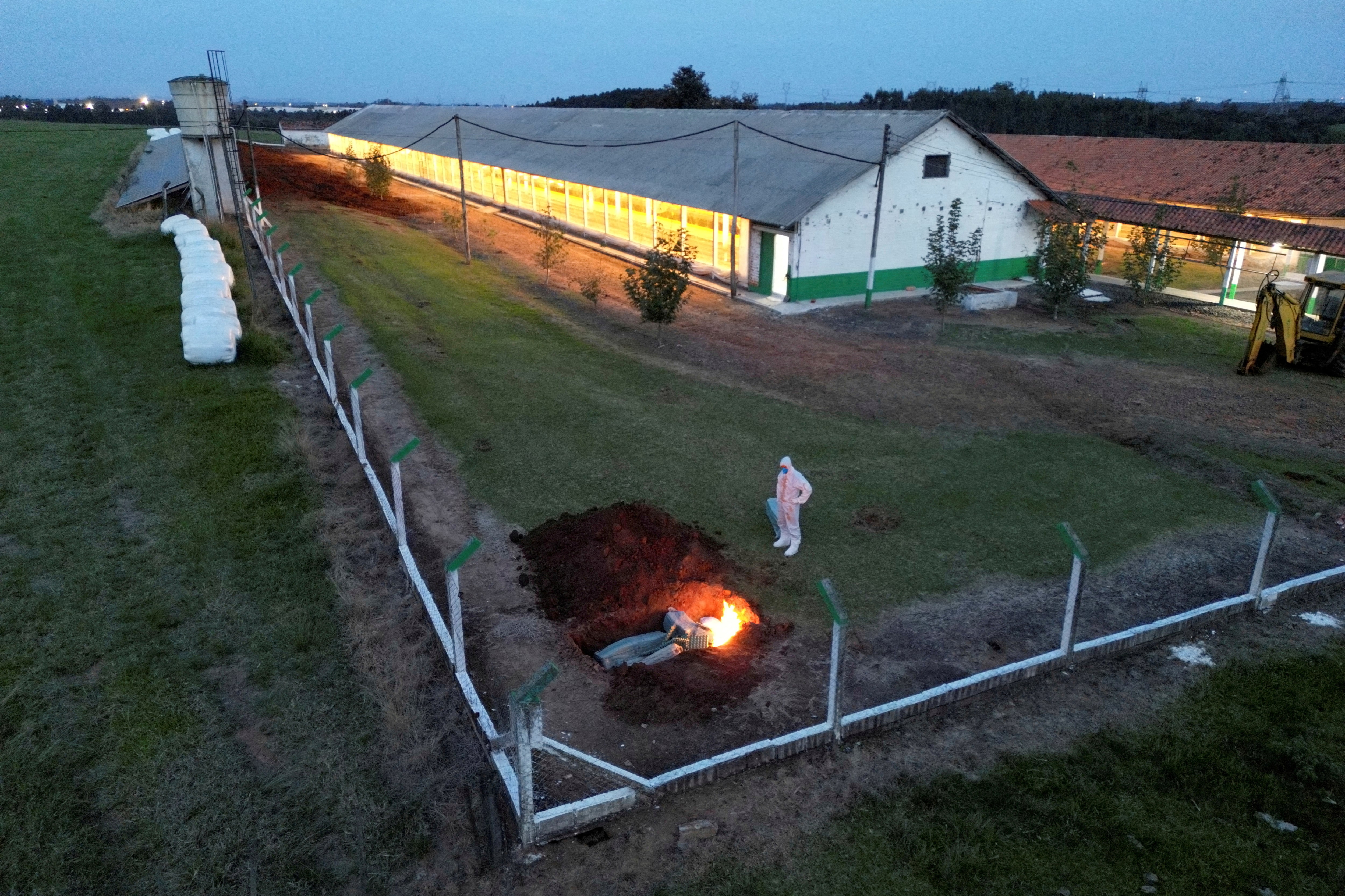 中国、ブラジル産鶏肉の輸入全面禁止　鳥インフル発生に対応
