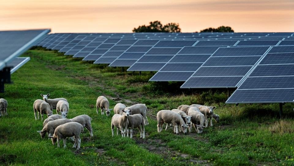 隠された中国の無線は短い太陽電池植物を短くすることができます：専門家は爆発の可能性に対して警告します