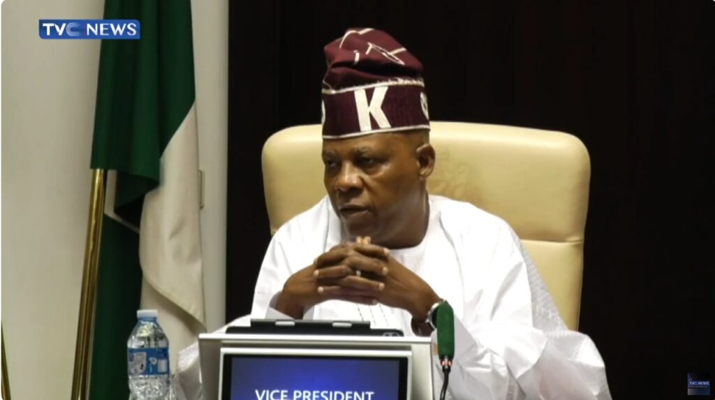 Europe, Africa must maximise potentials for transformative development - VP Shettima