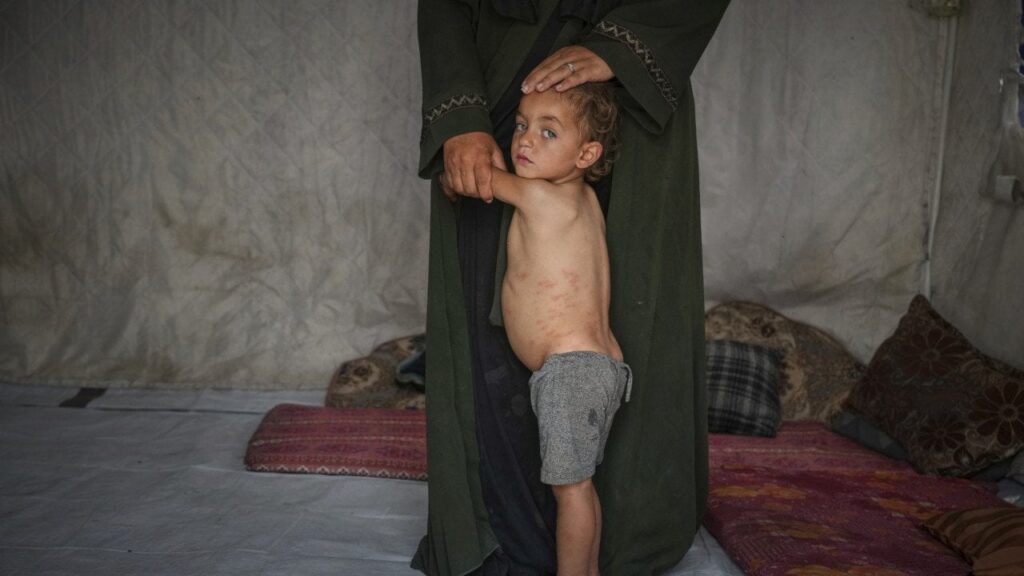 元イスラエル将軍：イスラエルはガザで「趣味として赤ちゃんを殺す」