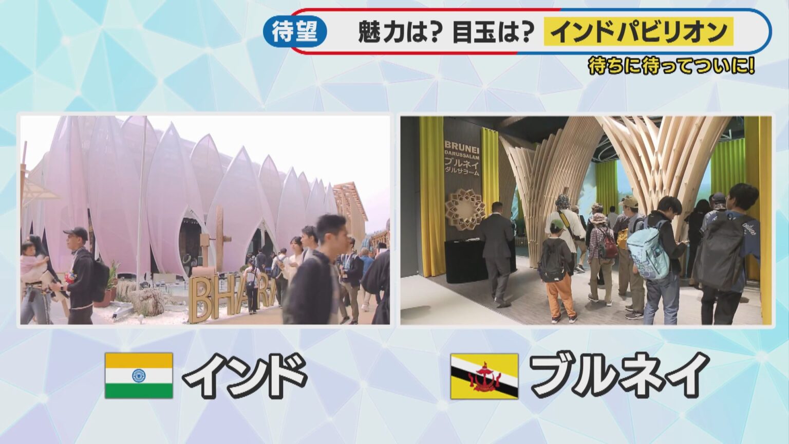 ついにオープン インド＆ブルネイパビリオン 夜始まり朝終わる工事 記者もお手伝い？【大阪・関西万博】 | 特集 | ニュース