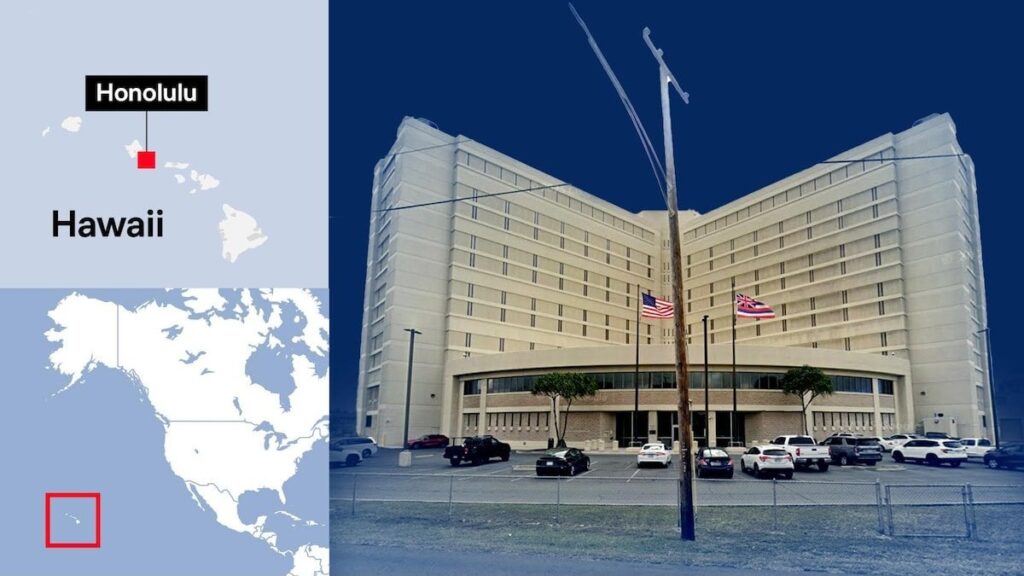 夢の旅は悪夢に伴い終わりました：2人の若いデンマーク人が入国を拒否し、米国に投獄されました