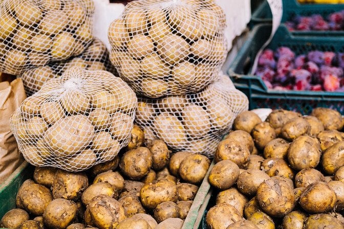 ロシアでは、ジャガイモの価格は過去22年間の最高レベルに上昇しました