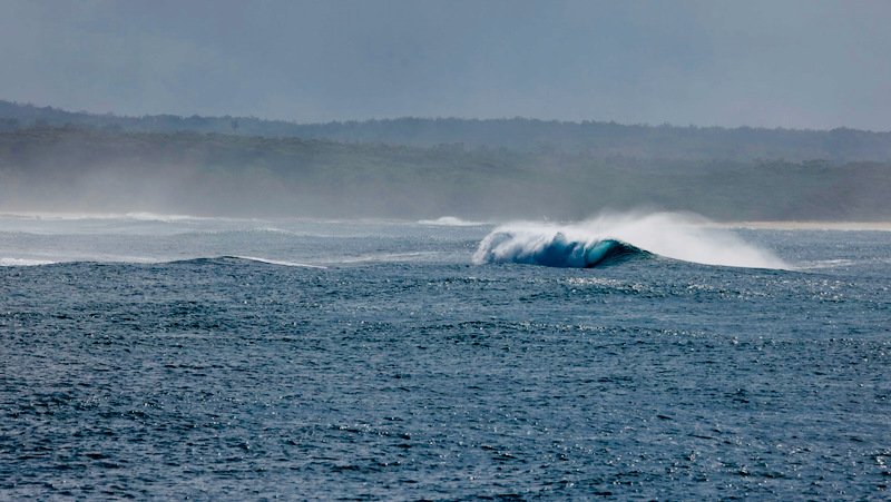 スクリーンショット 2025-05-22 5.35.32