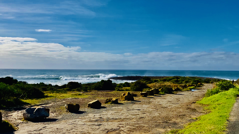 スクリーンショット 2025-05-30 4.08.27