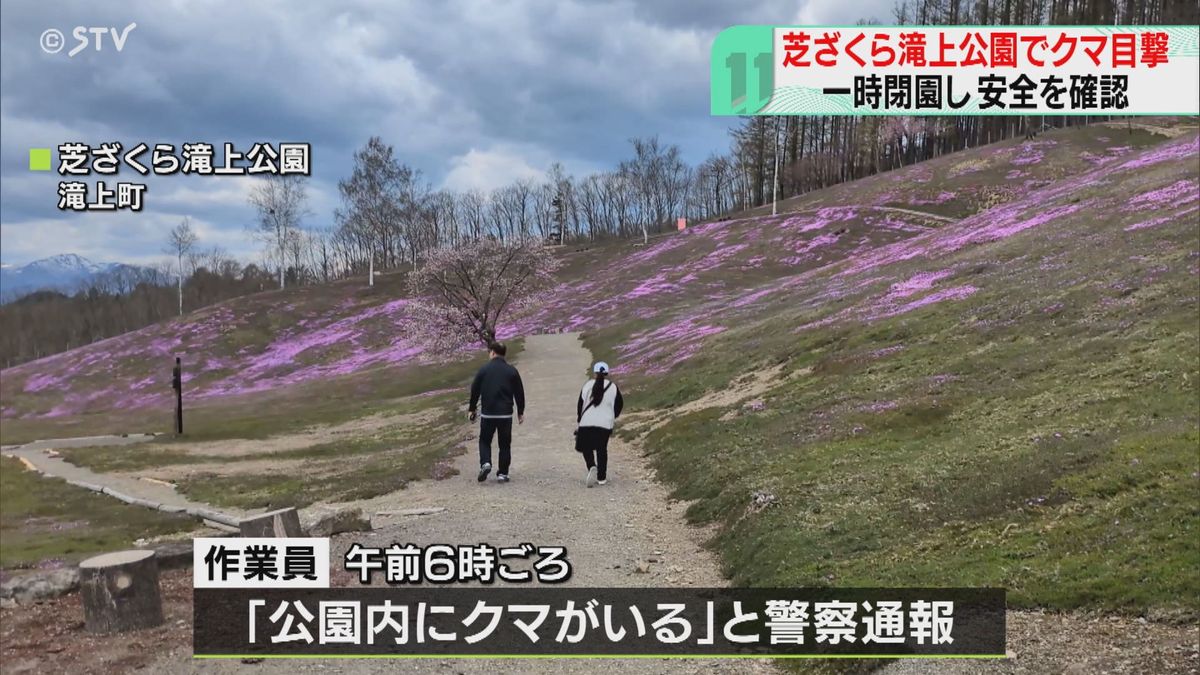 【速報】クマが公園内走りまわる 足跡も… あすから開催“芝ざくらまつり”は予定通り 北海道