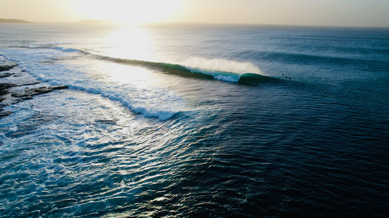 スクリーンショット 2025-05-28 7.02.56