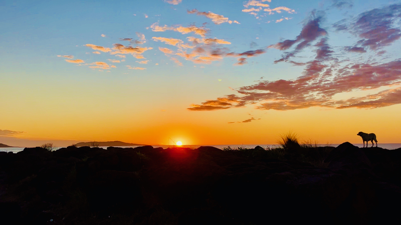 スクリーンショット 2025-05-27 14.40.34