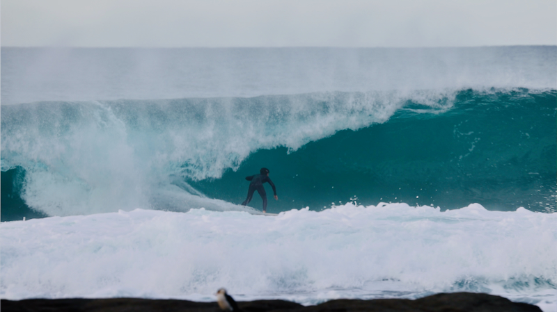 スクリーンショット 2025-05-28 3.28.26