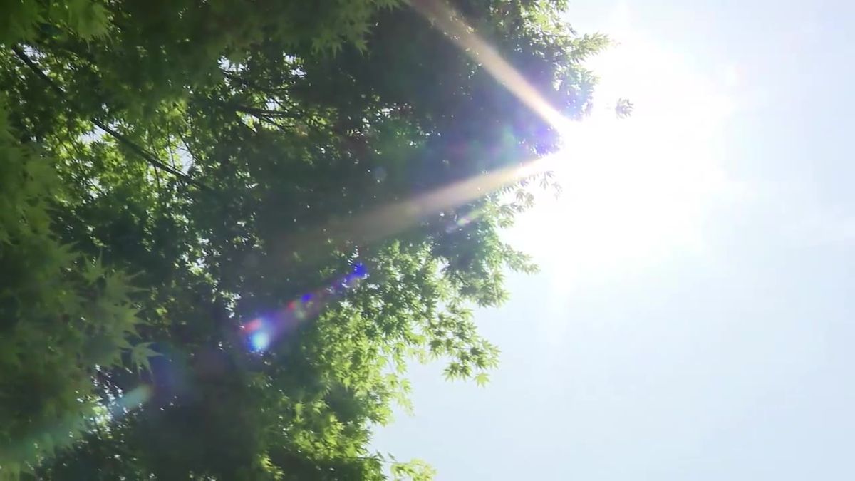 "季節先取りの暑さ”続く　すでに夏日の地点も　岩手県盛岡市