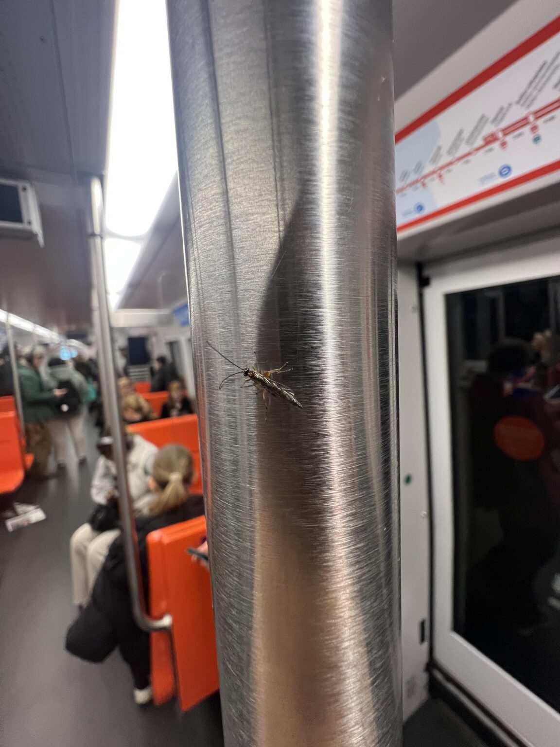 今日メトロで友達を見つけました。誰かが彼らの名前を知っていますか？
