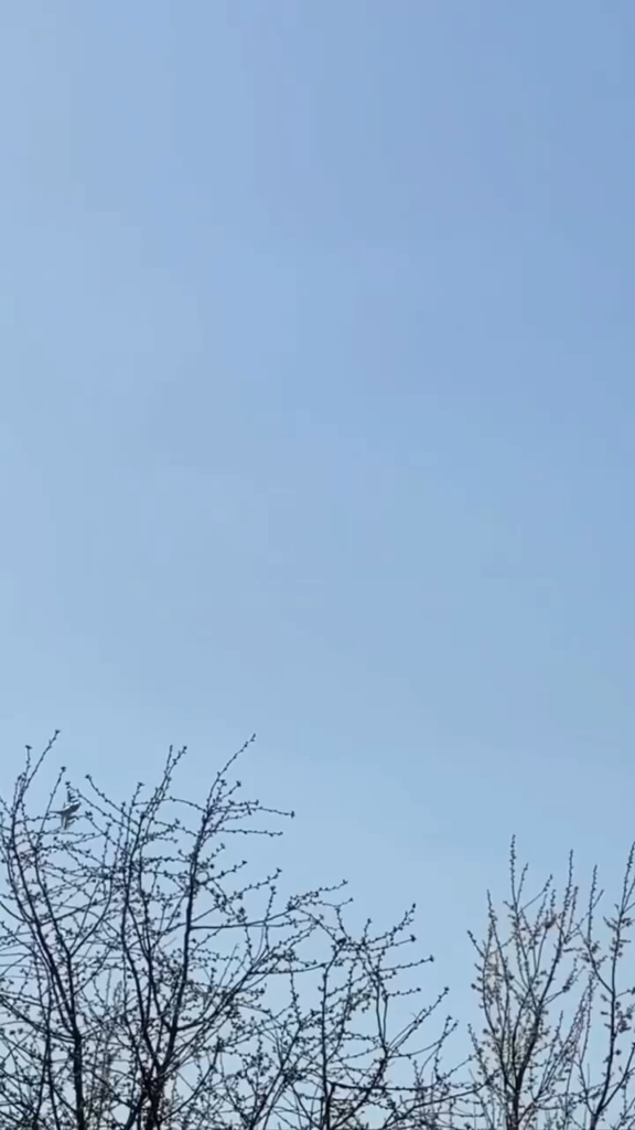 ウクライナのF-16戦闘機ジェットは、GBU-39 GPSガイド付き爆弾を使用して、Kursk Oblastで複数の敵の位置を攻撃します