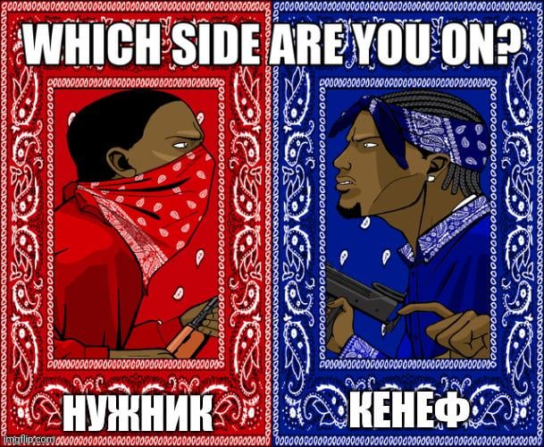 どの国にいますか？