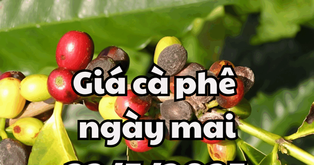 Vietnam.vn - Nền tảng quảng bá Việt Nam