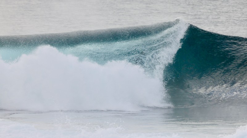 スクリーンショット 2025-05-15 5.38.08